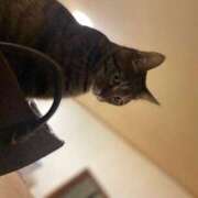 ヒメ日記 2025/04/27 08:56 投稿 めい マダム可憐