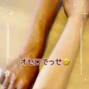 ヒメ日記 2025/07/26 02:22 投稿 めい マダム可憐