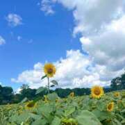 ヒメ日記 2025/08/28 21:07 投稿 めい マダム可憐