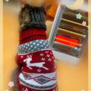 ヒメ日記 2025/11/05 20:56 投稿 めい マダム可憐