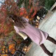 ヒメ日記 2025/11/11 16:55 投稿 めい マダム可憐