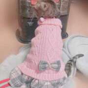 ヒメ日記 2025/12/11 06:04 投稿 めい マダム可憐