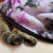 ヒメ日記 2026/01/05 06:23 投稿 めい マダム可憐