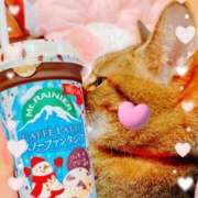 ヒメ日記 2026/01/10 16:41 投稿 めい マダム可憐