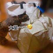 ヒメ日記 2026/02/17 02:31 投稿 めい マダム可憐