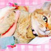 ヒメ日記 2026/02/22 16:13 投稿 めい マダム可憐