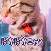 ヒメ日記 2026/02/22 16:17 投稿 めい マダム可憐