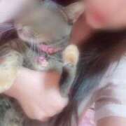 ヒメ日記 2026/03/03 00:47 投稿 めい マダム可憐