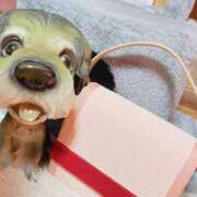 ヒメ日記 2026/03/20 01:02 投稿 めい マダム可憐