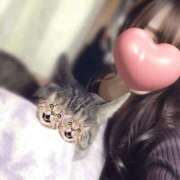 ヒメ日記 2026/03/31 01:28 投稿 めい マダム可憐