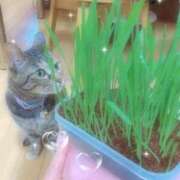 ヒメ日記 2026/06/16 16:53 投稿 めい マダム可憐