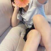 ヒメ日記 2024/12/30 17:03 投稿 平沢　なおみ NADIA神戸店