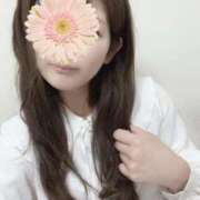 ヒメ日記 2025/02/11 02:31 投稿 平沢　なおみ NADIA神戸店