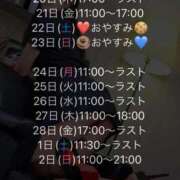 ヒメ日記 2025/02/19 11:51 投稿 平沢　なおみ NADIA神戸店