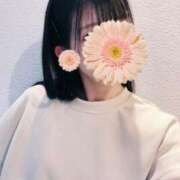 ヒメ日記 2025/03/01 14:21 投稿 平沢　なおみ NADIA神戸店