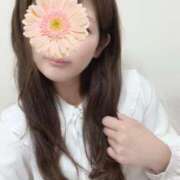 ヒメ日記 2025/04/02 17:31 投稿 平沢　なおみ NADIA神戸店