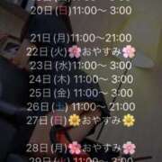 ヒメ日記 2025/04/19 14:58 投稿 平沢　なおみ NADIA神戸店