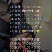 ヒメ日記 2025/04/20 19:31 投稿 平沢　なおみ NADIA神戸店