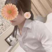 ヒメ日記 2025/04/23 15:11 投稿 平沢　なおみ NADIA神戸店