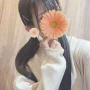 ヒメ日記 2025/04/30 11:56 投稿 平沢　なおみ NADIA神戸店