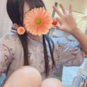 ヒメ日記 2025/05/07 14:51 投稿 平沢　なおみ NADIA神戸店