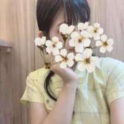 ヒメ日記 2025/06/20 13:51 投稿 平沢　なおみ NADIA神戸店