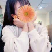 ヒメ日記 2025/09/02 15:01 投稿 平沢　なおみ NADIA神戸店