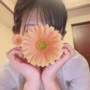 ヒメ日記 2025/09/05 18:02 投稿 平沢　なおみ NADIA神戸店