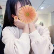 ヒメ日記 2025/10/06 18:26 投稿 平沢　なおみ NADIA神戸店