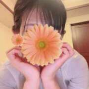 ヒメ日記 2025/11/18 11:06 投稿 平沢　なおみ NADIA神戸店