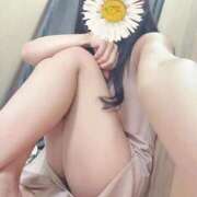 ヒメ日記 2026/01/15 23:11 投稿 平沢　なおみ NADIA神戸店