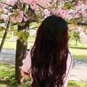 ヒメ日記 2026/04/14 13:43 投稿 みか One More奥様　八王子店