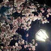 ヒメ日記 2025/04/13 09:47 投稿 きらら ダンシングおっぱいTEAM爆