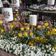 さあや お久しぶりです🌸 錦糸町人妻セレブリティ（ユメオト）