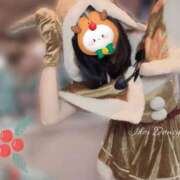 ヒメ日記 2024/12/07 11:55 投稿 癒（いこい） 男爵