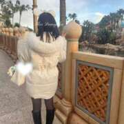 ヒメ日記 2025/03/02 12:15 投稿 癒（いこい） 男爵