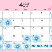 ヒメ日記 2025/04/18 12:15 投稿 癒（いこい） 男爵