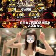 ヒメ日記 2025/04/27 12:15 投稿 癒（いこい） 男爵