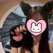 ヒメ日記 2025/10/18 14:00 投稿 癒（いこい） 男爵