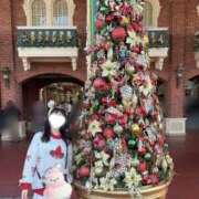 ヒメ日記 2026/01/29 11:45 投稿 癒（いこい） 男爵