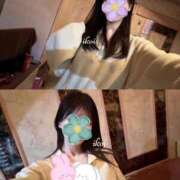 ヒメ日記 2026/03/07 15:26 投稿 癒（いこい） 男爵