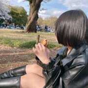 ヒメ日記 2025/04/12 15:56 投稿 かりな 道玄坂クリスタル