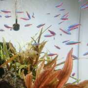 ヒメ日記 2025/08/19 11:33 投稿 たまき 五反田・品川おかあさん