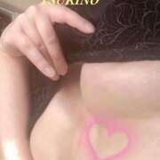 ヒメ日記 2025/03/26 11:53 投稿 つきの One More 奥様　錦糸町店