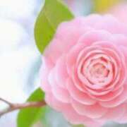 ヒメ日記 2025/03/30 08:03 投稿 つきの One More 奥様　錦糸町店