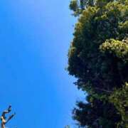 ヒメ日記 2026/01/24 09:50 投稿 つきの One More 奥様　錦糸町店