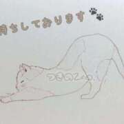 ヒメ日記 2026/03/23 09:33 投稿 つきの One More 奥様　錦糸町店