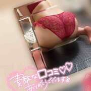 ヒメ日記 2026/01/23 06:00 投稿 あすみ 世界のあんぷり亭 新宿総本店