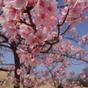 ヒメ日記 2026/03/27 15:03 投稿 くるみ 熟女の風俗最終章 高崎店