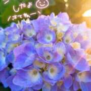 ヒメ日記 2026/05/18 18:38 投稿 くるみ 熟女の風俗最終章 高崎店